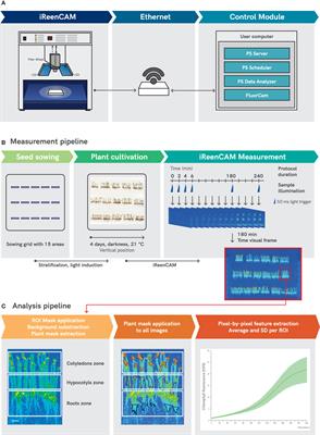 iReenCAM: automated imaging system for kinetic analysis of photosynthetic pigment biosynthesis at high spatiotemporal resolution during early deetiolation